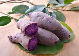 L’ube : la racine violette